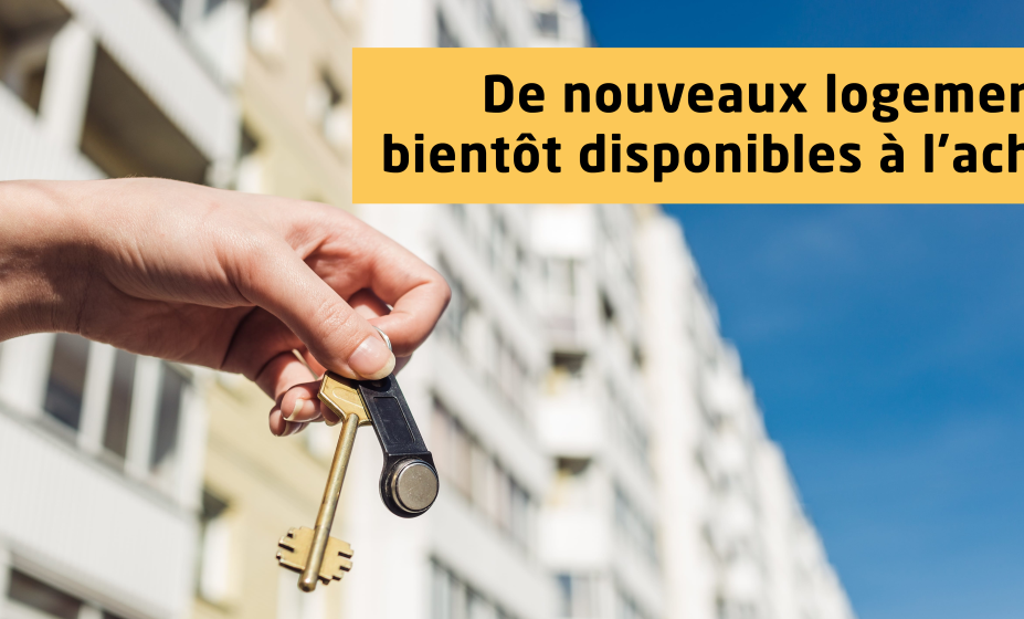 Logements dispo à l'achat
